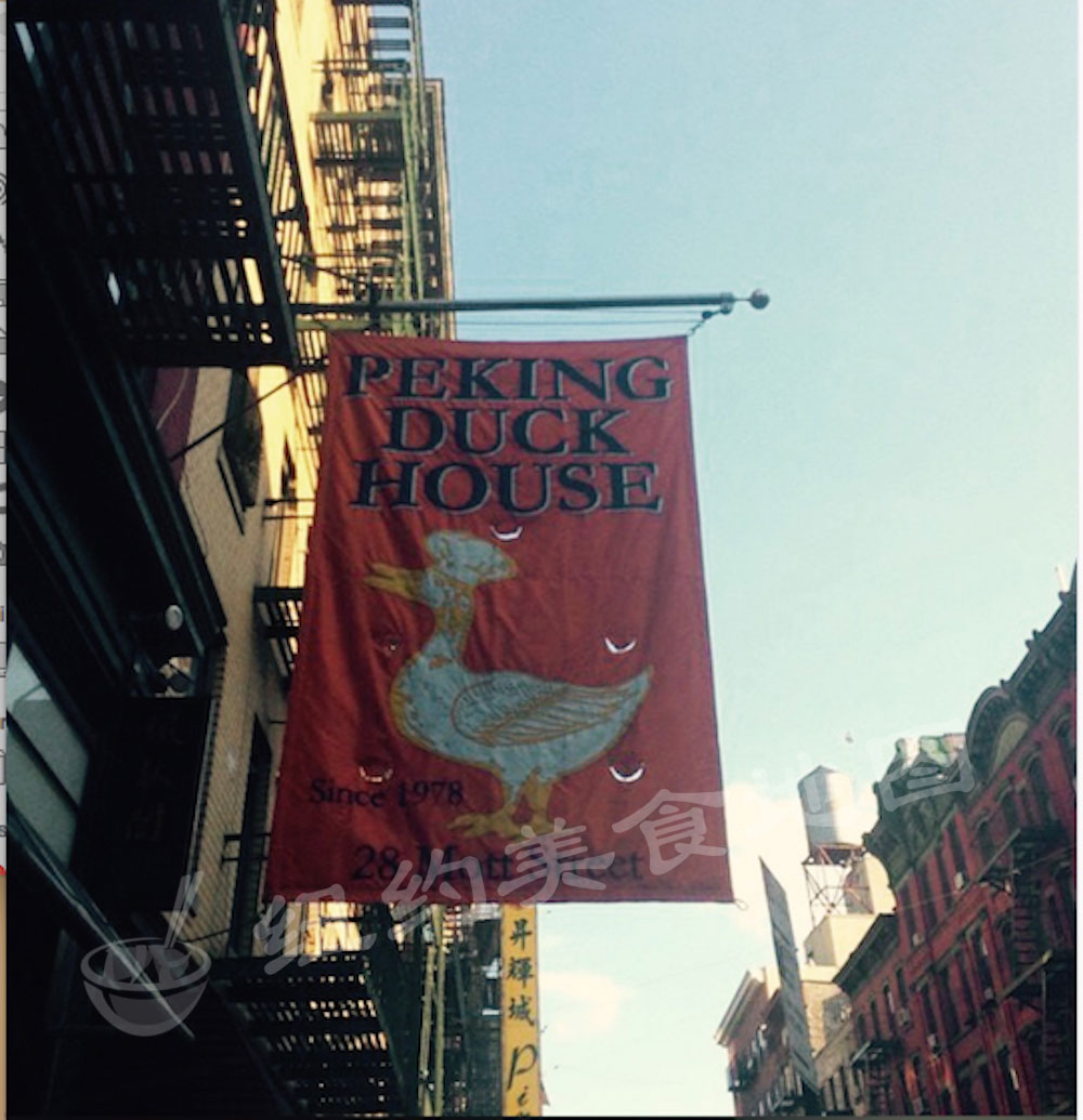 pecking-duck-house-02