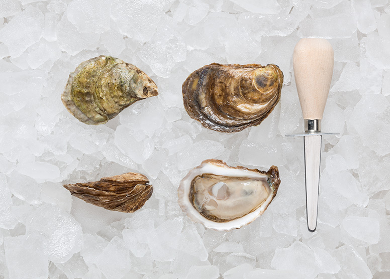 gooseberry-bay-oysters