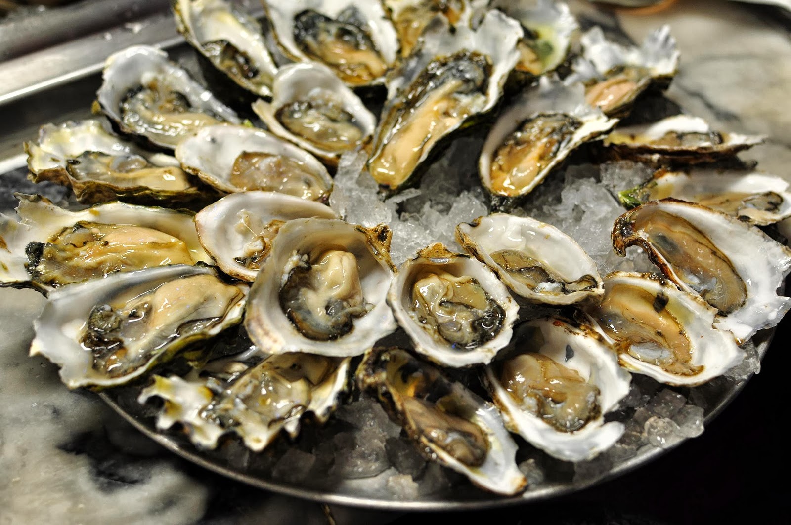 magic-oyster-bar-seafood-restaurant-and-bar-12